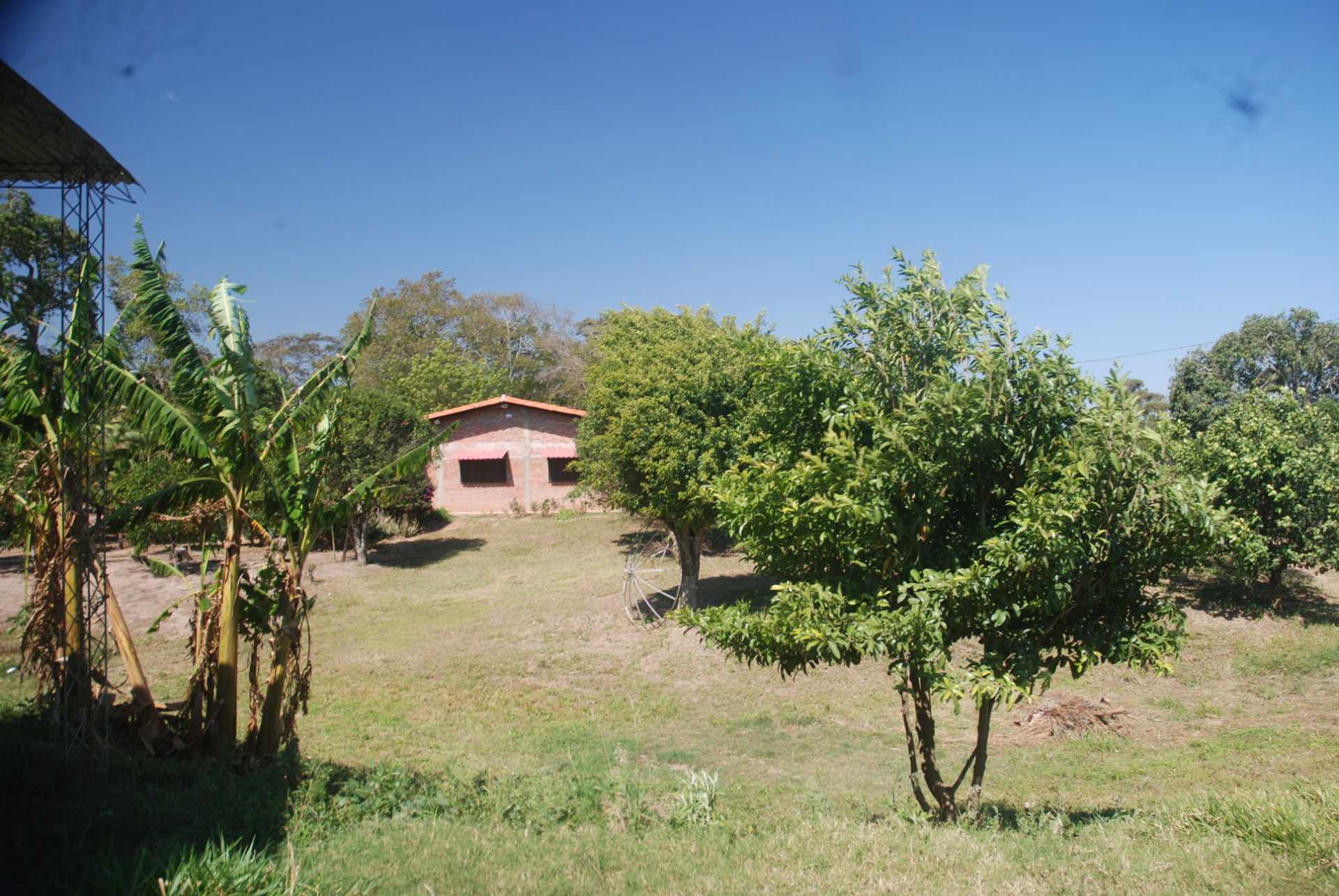 Quinta propiedad agrícola en Venta A 20mn de Warnes  vendo una Hermosa  Lecheria productiva  de 56ha  Foto 12