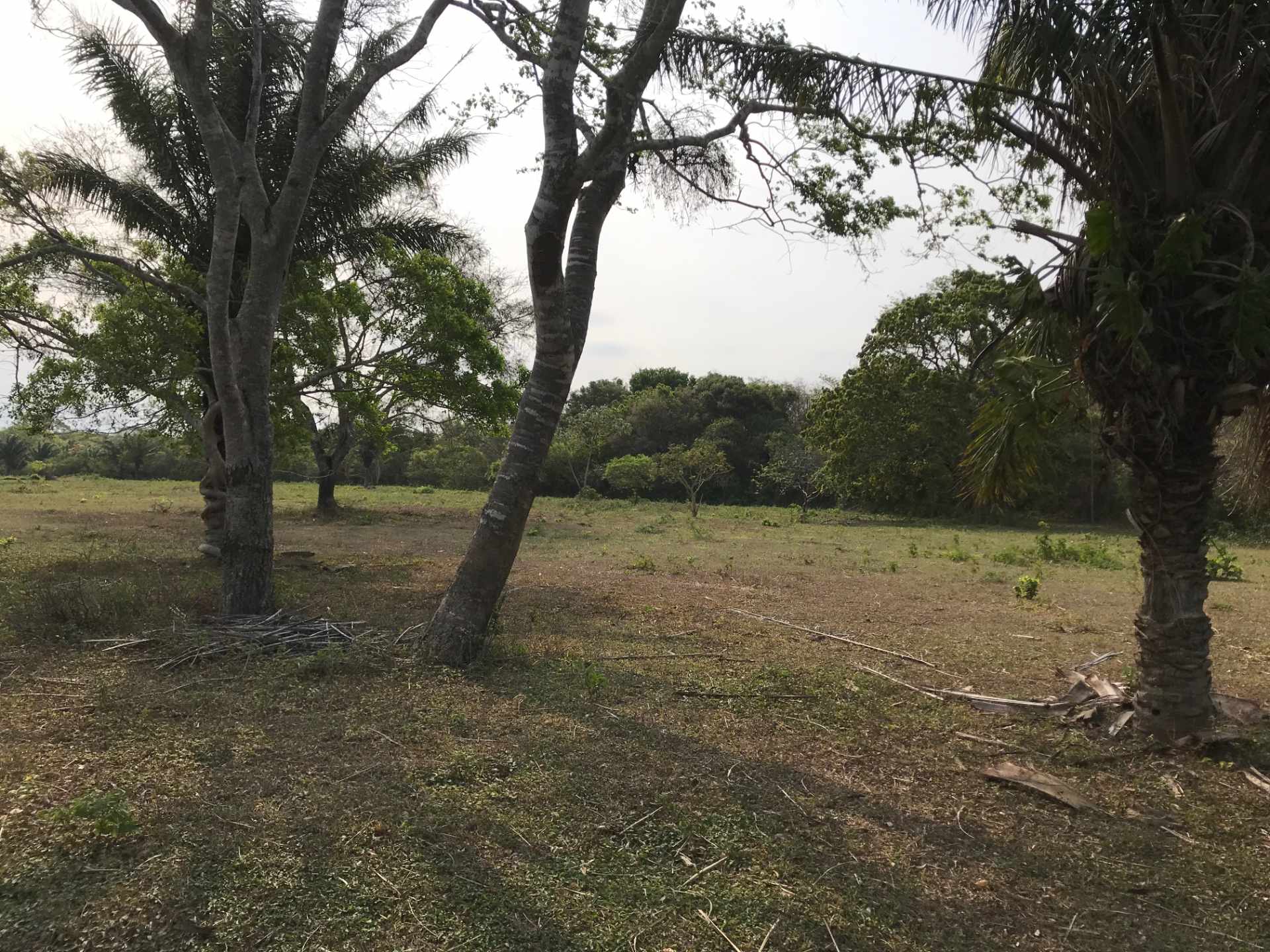 Terreno en VentaUrubó zona Norbélgica atrás de Puerto Santa Cruz.  Foto 16