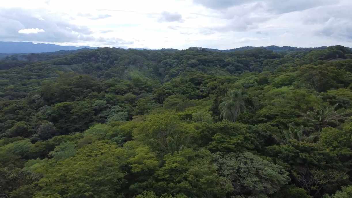 Quinta propiedad agrícola en VentaPropiedad Urbana en Porongo  1 baños  Foto 7