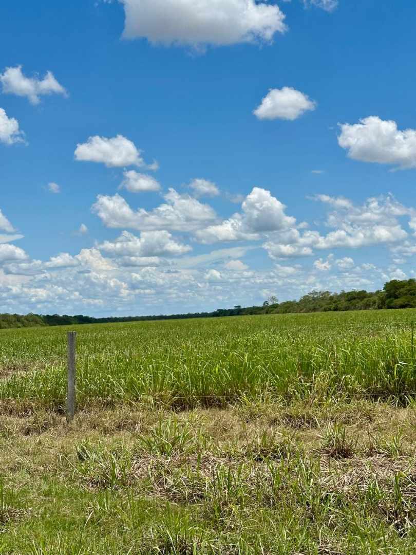 Quinta propiedad agrícola en VentaEn Venta: 13.720 Ganaderas con potencial Agrícola en SIV Foto 5