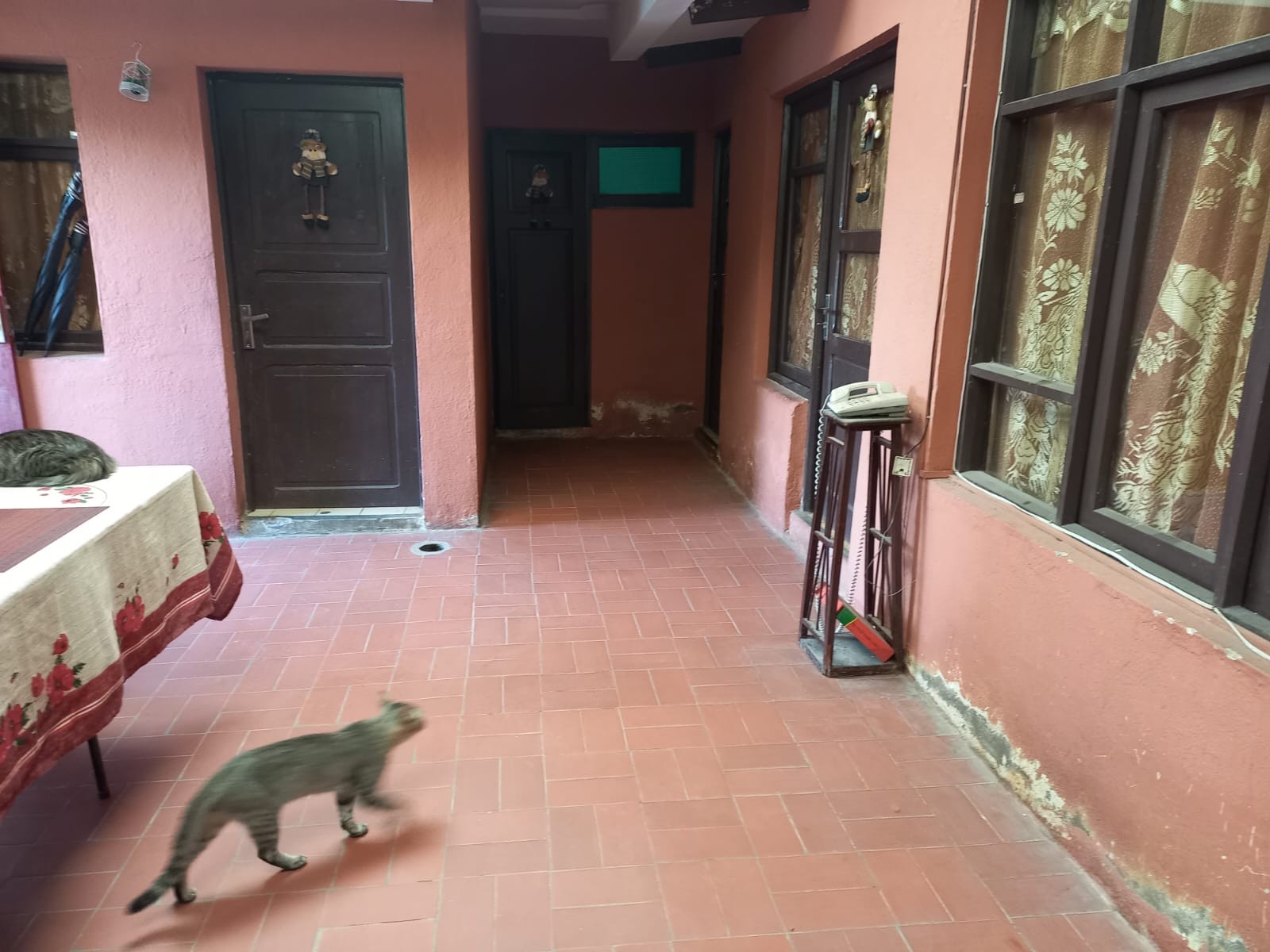 Terreno en VentaCala Cala    Foto 6