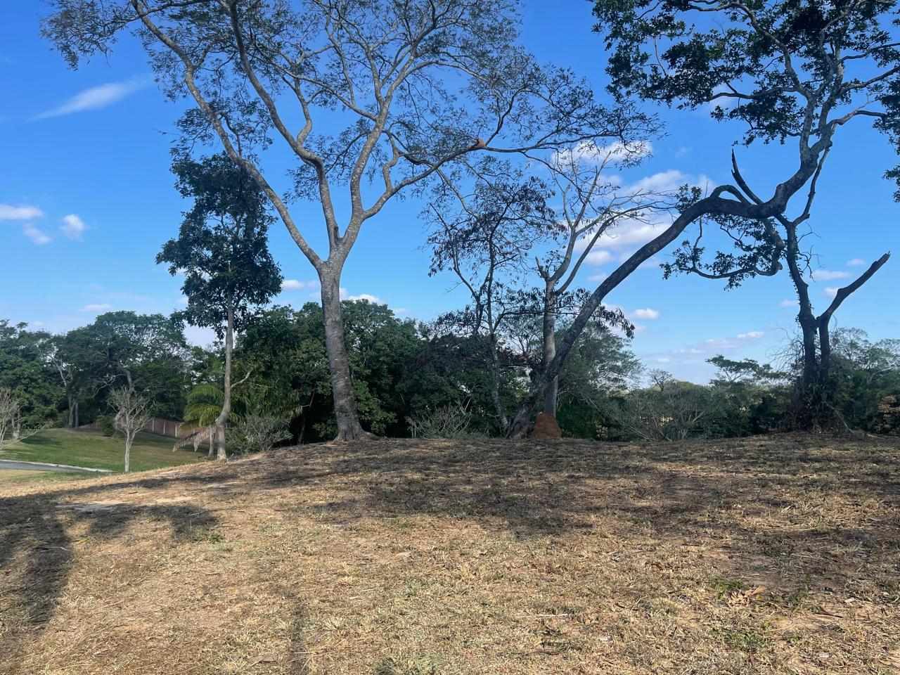 Terreno en VentaHermosos terrenos en altura en condominio Las Palmas del Urubo I    Foto 19