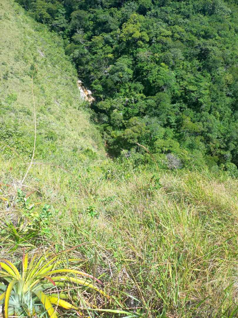 Quinta propiedad agrícola en Doble vía La Guardia en Santa Cruz de la Sierra    Foto 14