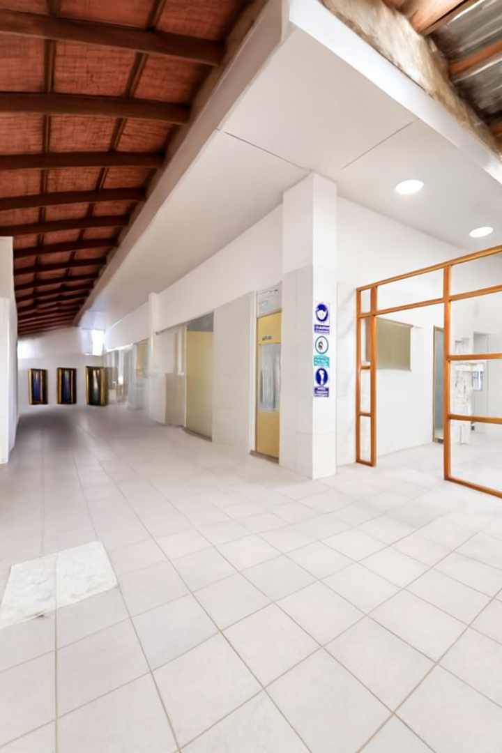 Casa Zona Norte – Av. Alemana, casa amplia en alquiler Foto 4