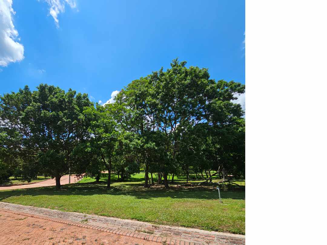 Terreno en VentaURUBÓ 
Condominio cerrado 
Jade del Urubó (Lote en esquina) Foto 5