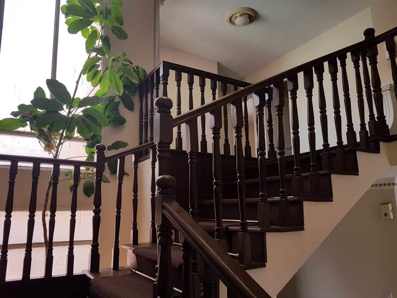 Casa Avenida Atahuallpa frente al segundo tanque de semapa Foto 15