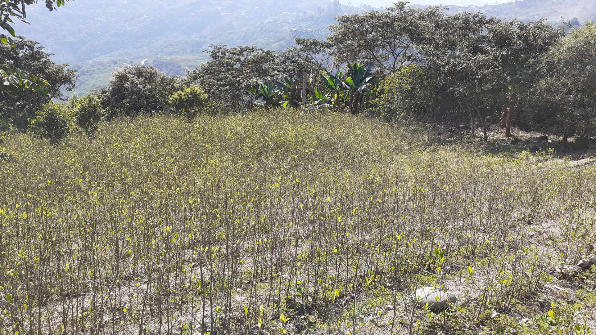 Terreno en Calacoto en La Paz    Foto 2