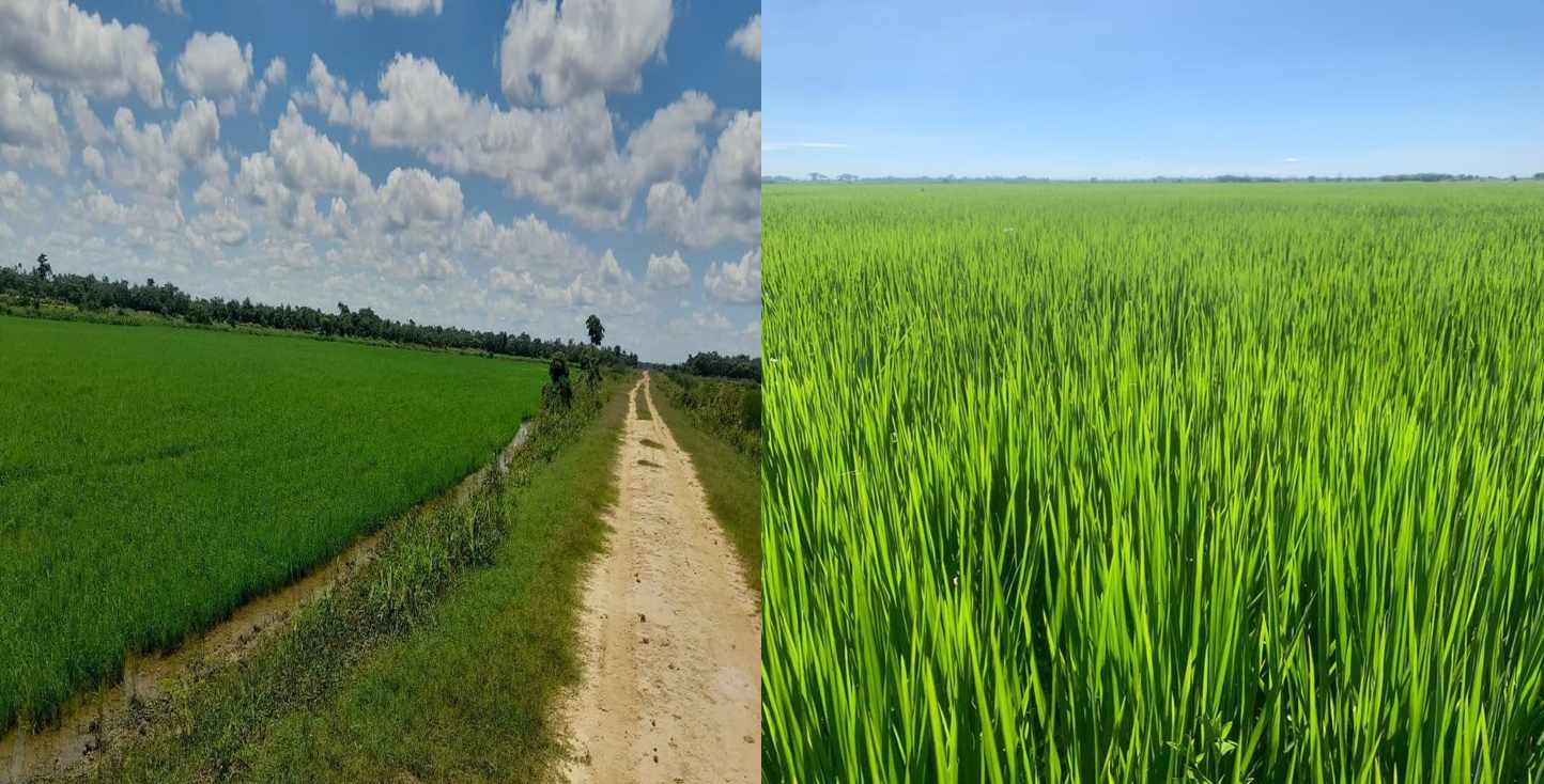 Quinta propiedad agrícola En Venta Propiedad Agrícola con Potencial Ganadero en Marban - Beni Foto 5