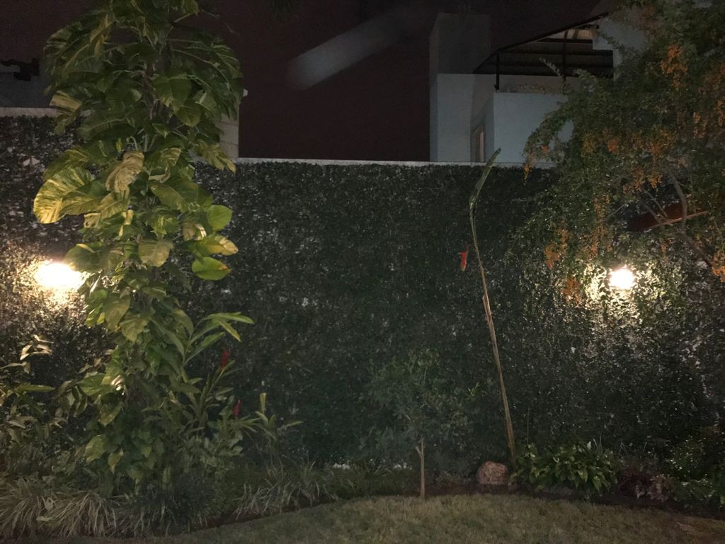 En Alquiler a $us 2,500 Foto 11