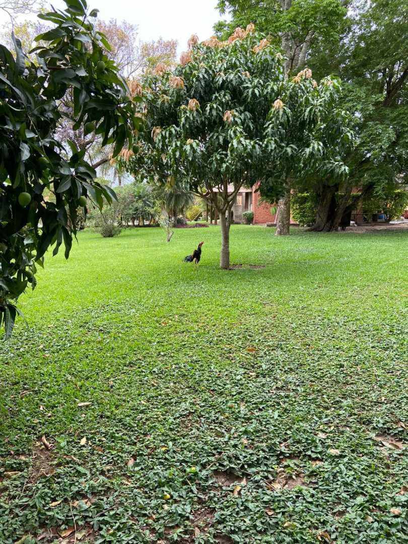 Casa en AlquilerCASA EN ALQUILER  O  VENTA - ZONA SUR DE LA PAZ  4 dormitorios 5 baños 2 parqueos Foto 6