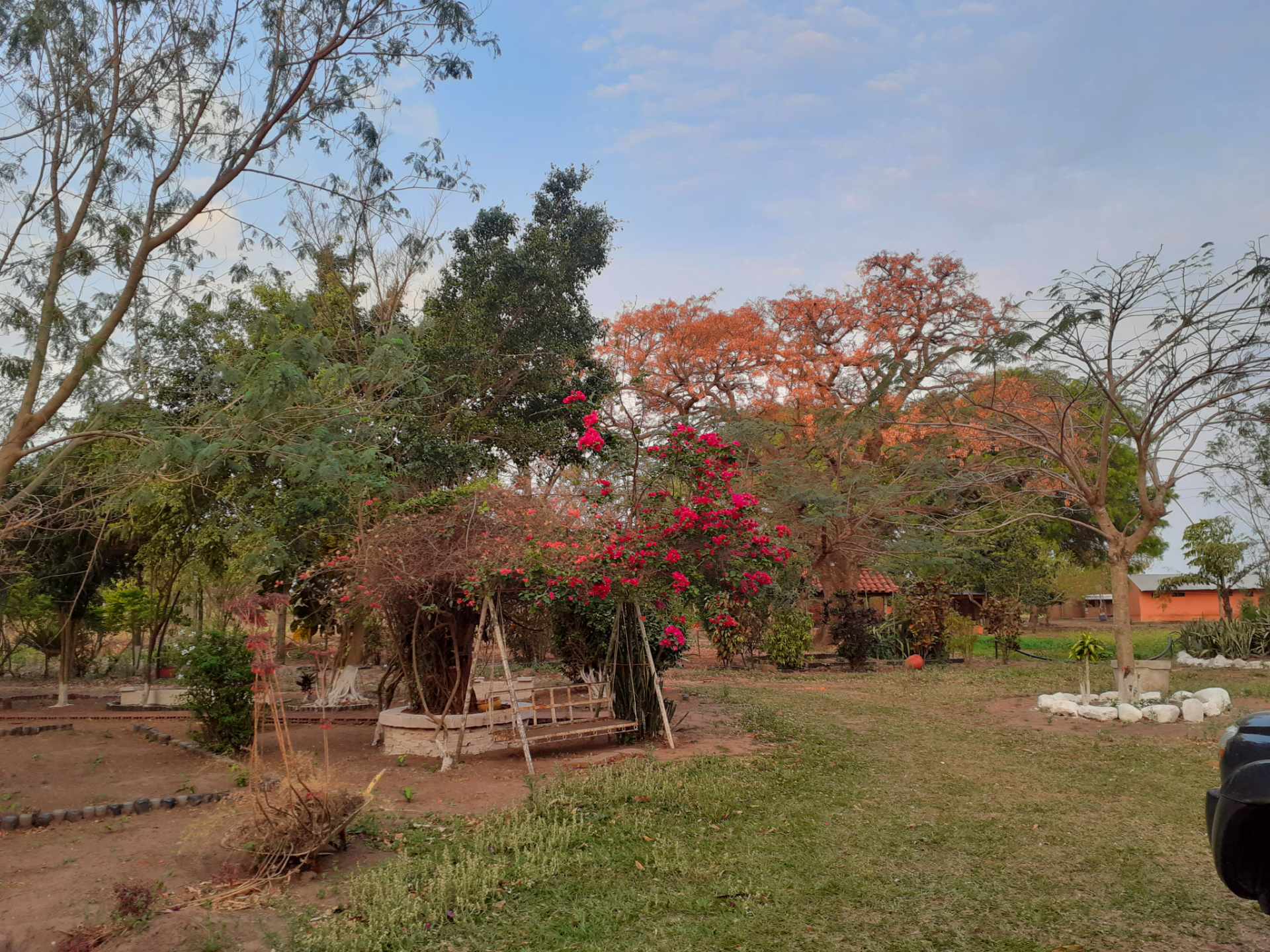 Quinta propiedad agrícola en Carretera Cotoca en Santa Cruz de la Sierra    Foto 3
