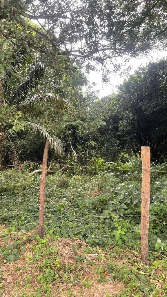 Terreno en Zona Nueva Santa Cruz en Santa Cruz de la Sierra    Foto 6