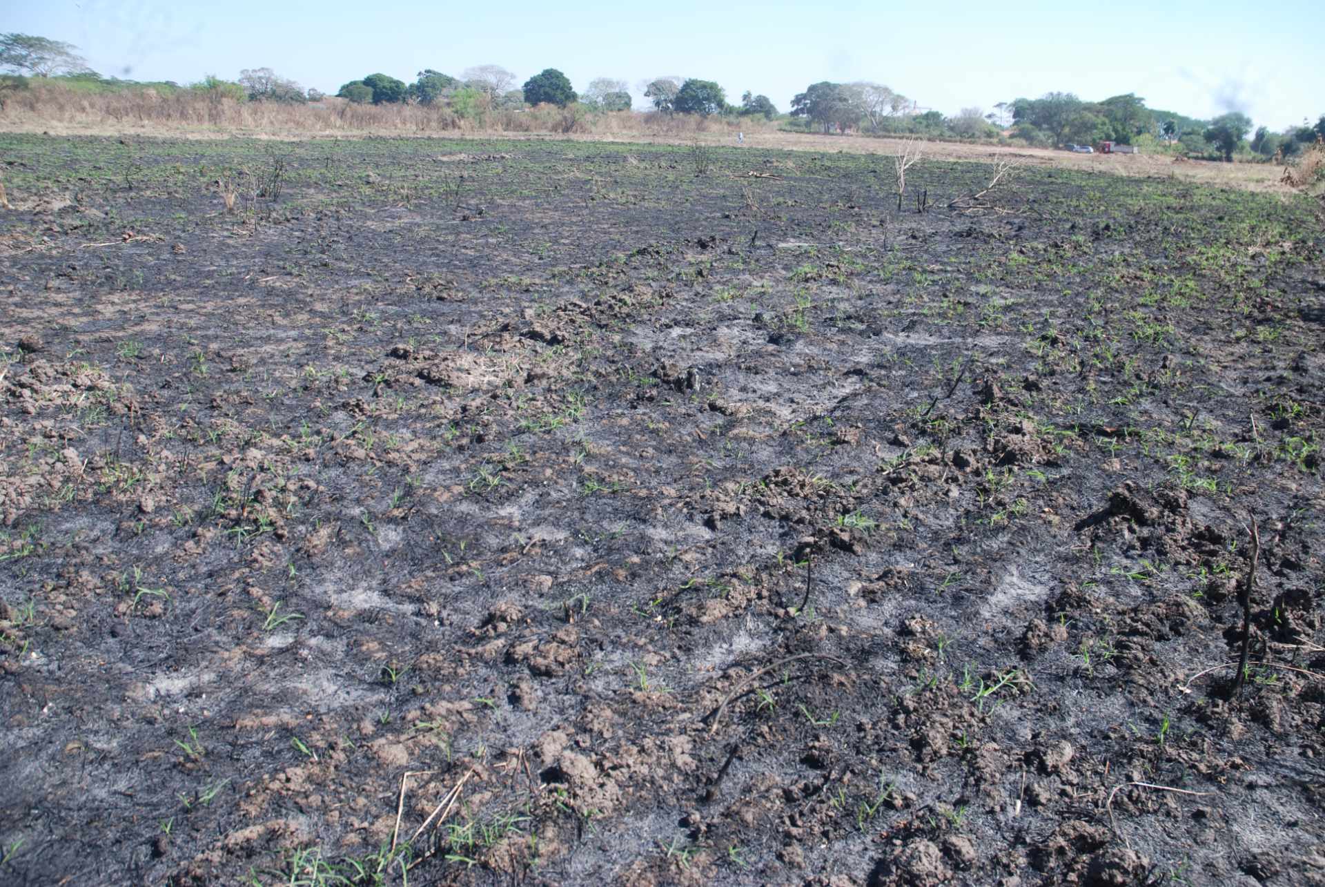 Terreno en VentaCotoca 2do anillo carretera a Pailon, cerca Cofrico Foto 2