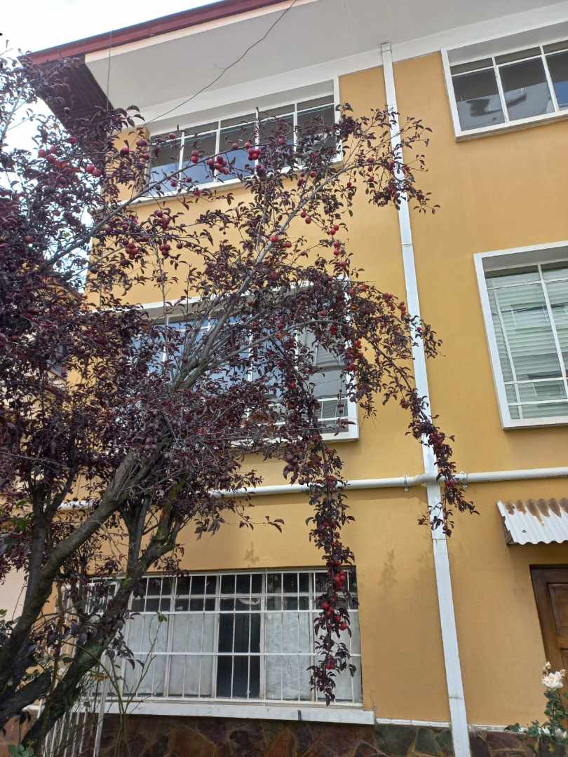 Casa Calle Guerrilleros Lanza Foto 4