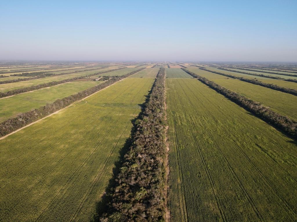 Quinta propiedad agrícola en VentaEn Venta: 2.300 Hectáreas Agrícola - Ganadera en Tres Cruces Foto 2