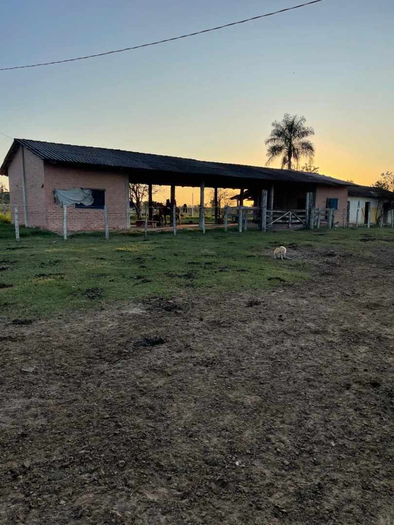 Quinta propiedad agrícola en VentaEn Venta: 13.720 Ganaderas con potencial Agrícola en SIV Foto 11