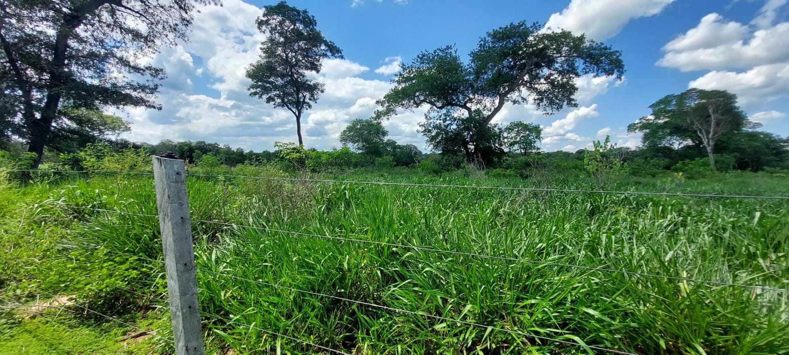 Quinta propiedad agrícola SAN JOSE DE CHIQUITOS Foto 1