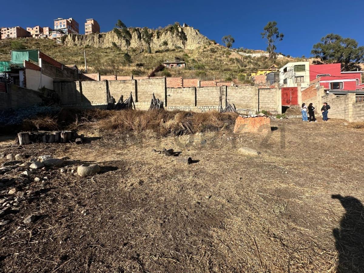 Terreno en AlquilerIRPAVI CALLE PEDRAZA ALTURA C/9 Foto 6