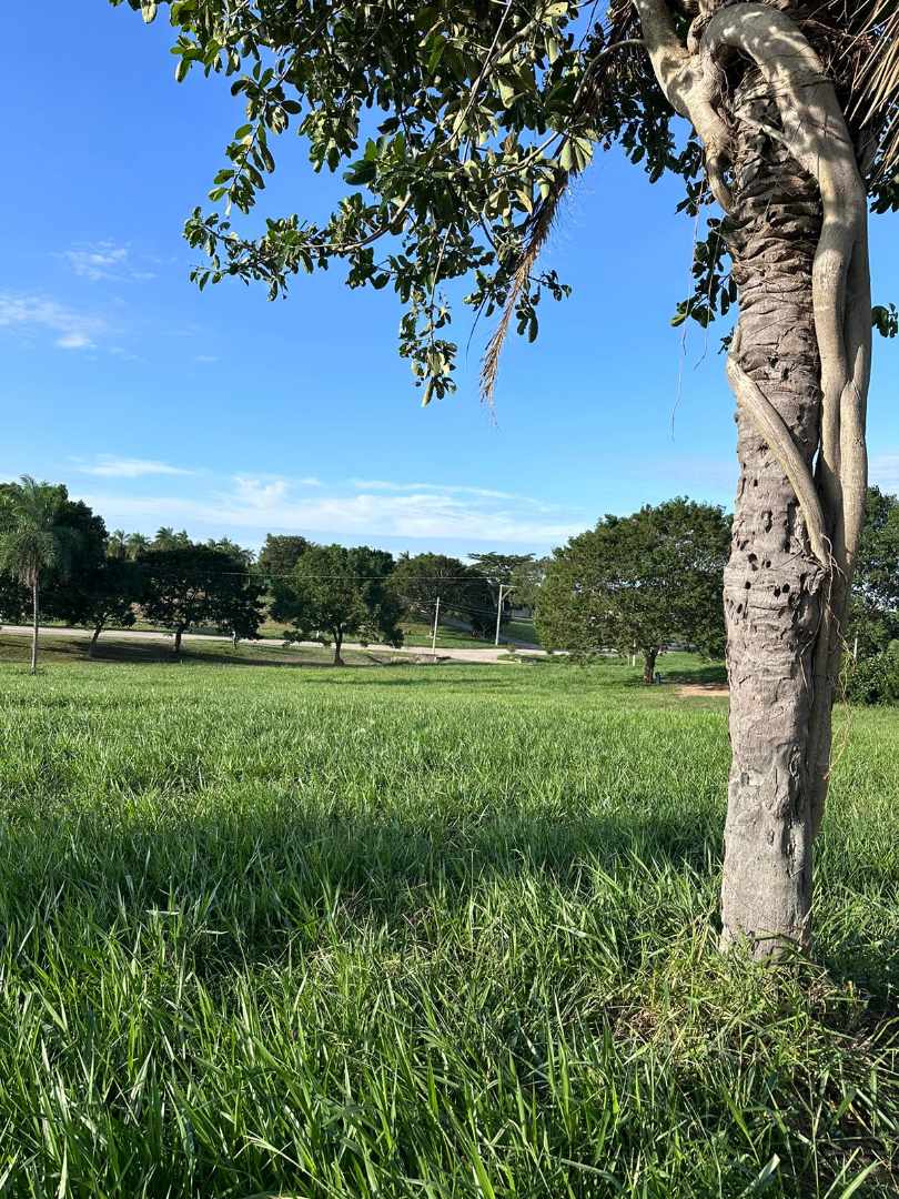 Terreno en VentaTerreno en Venta, Zona Urubo a 10 minutos del puente     Foto 2