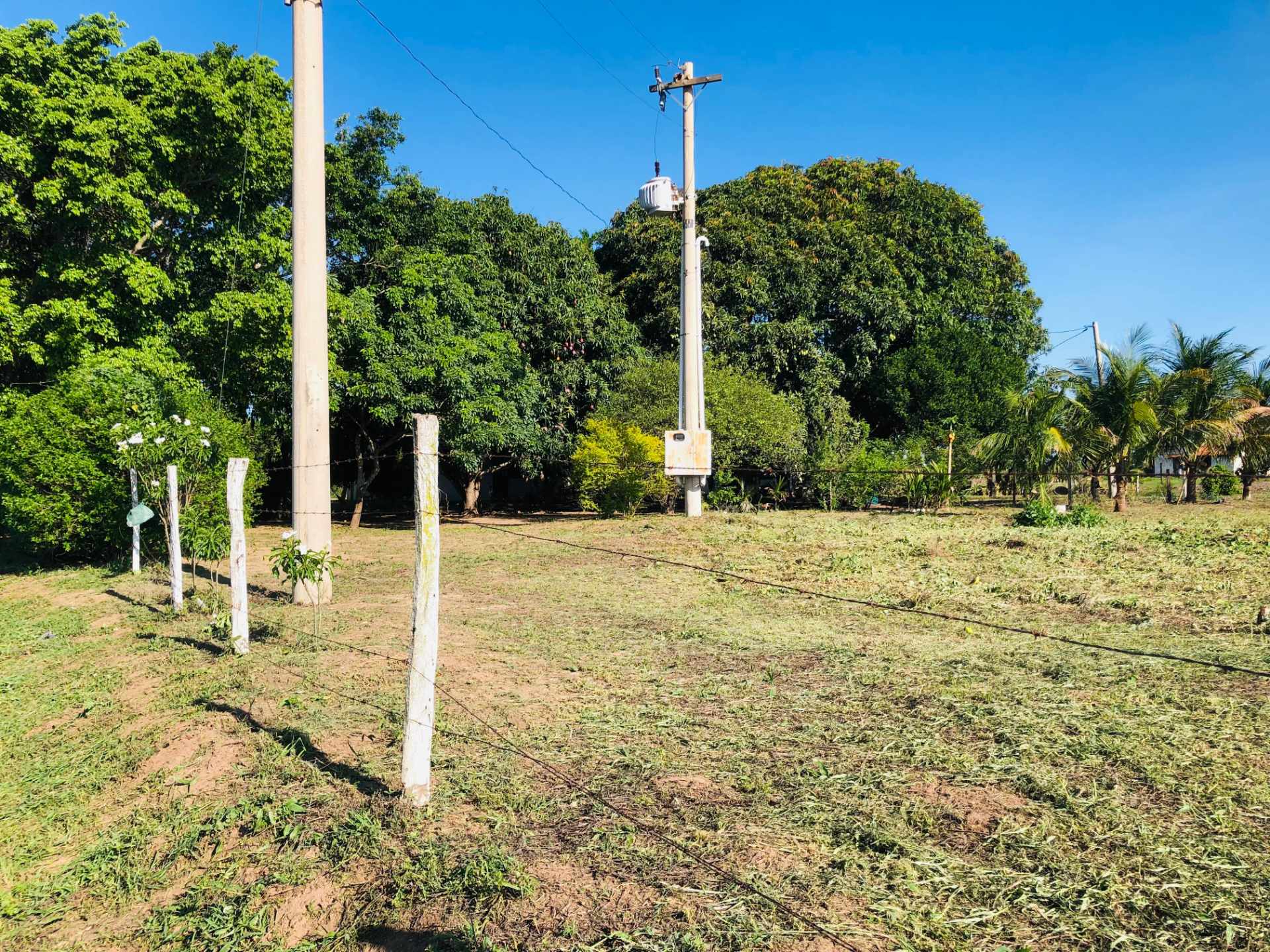 Quinta propiedad agrícola en VentaEn Venta
Propiedad con 100% producción cañera en Montero Foto 9