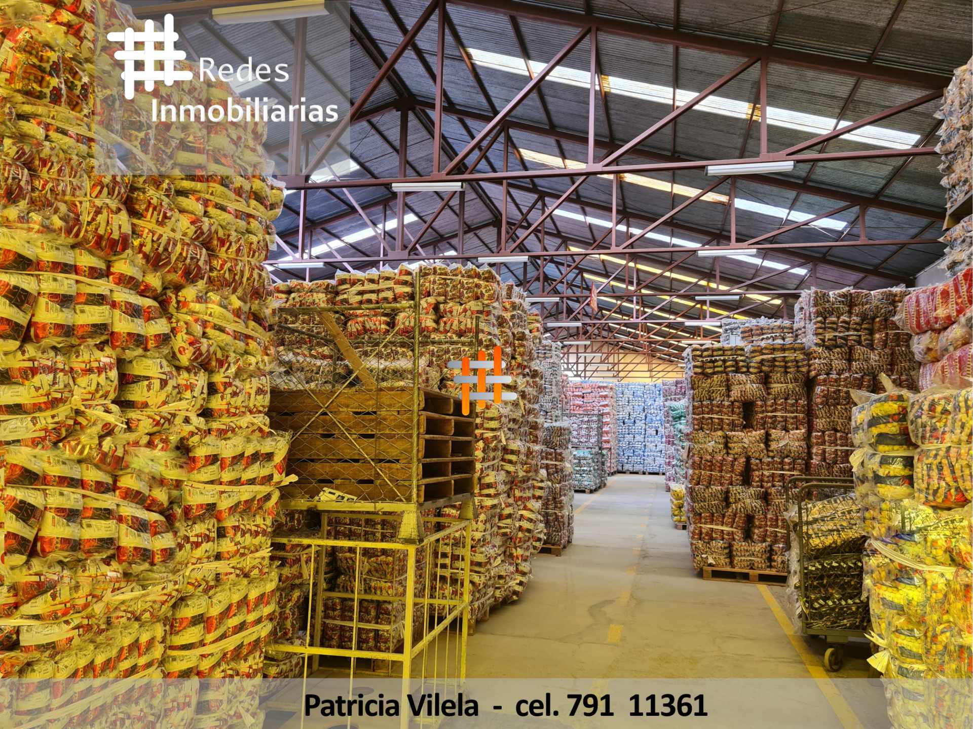 Galpón EN VENTA TERRENO CON GALPONES EN EL ALTO – ZONA FRANCA Foto 3