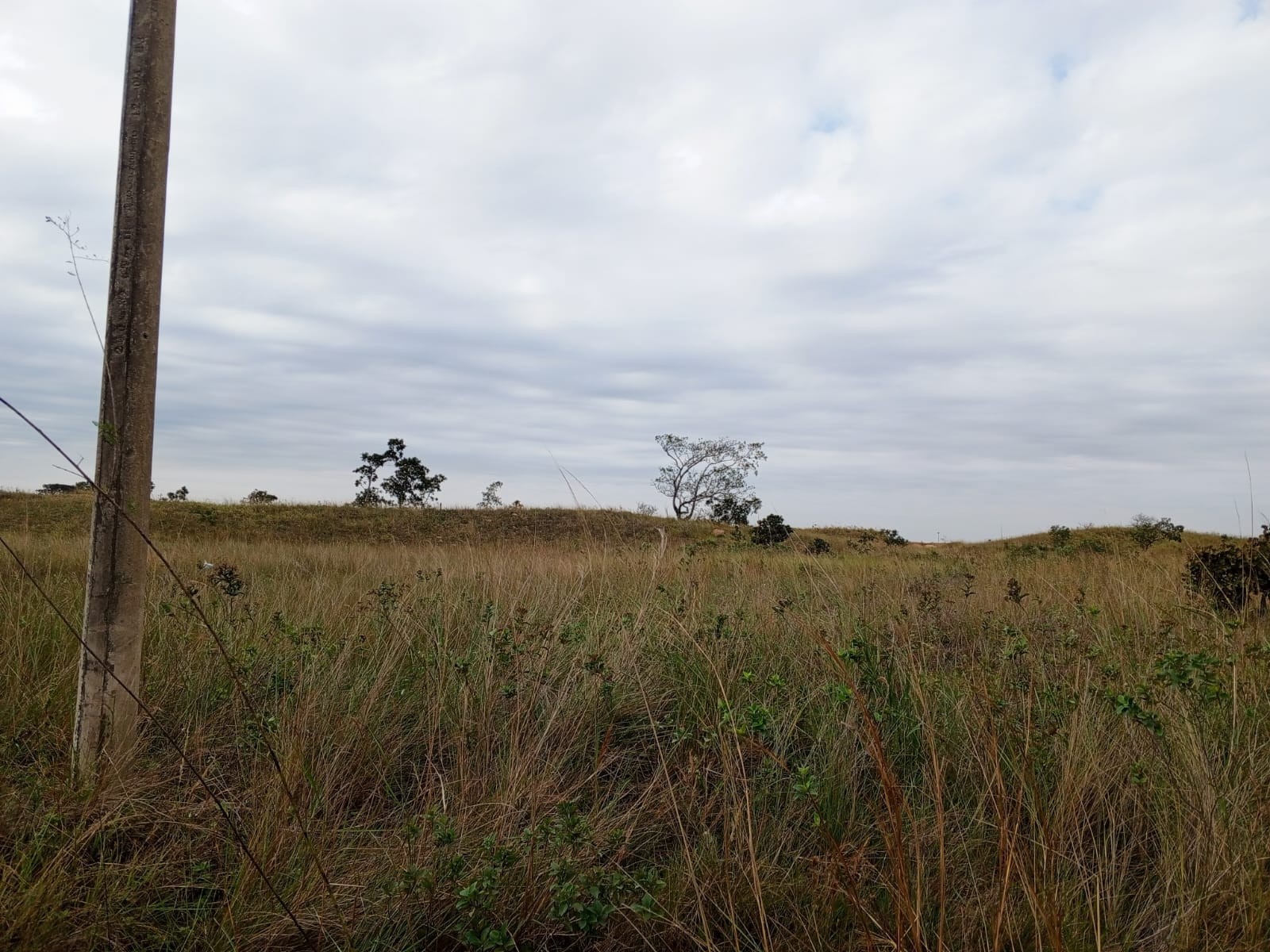 Terreno en VentaUrbanización ciudad del Urubo Foto 6