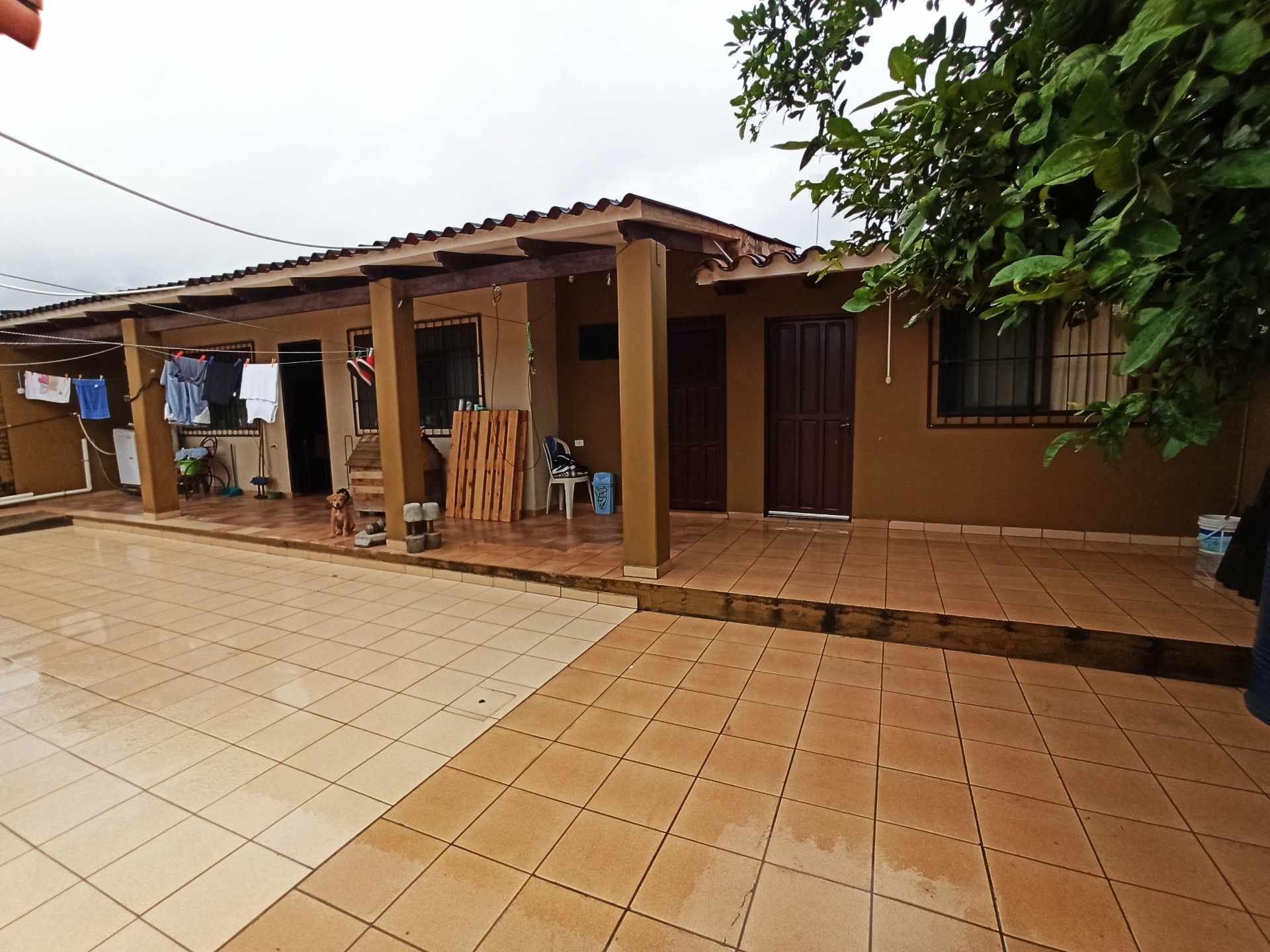 Casa en VentaAV MOSCU, ENTRE 7MO Y 8VO ANILLO, ZONA MERCADO LAS AMERICAS. Calle Nogal, cerca del Hospital Frances Foto 2