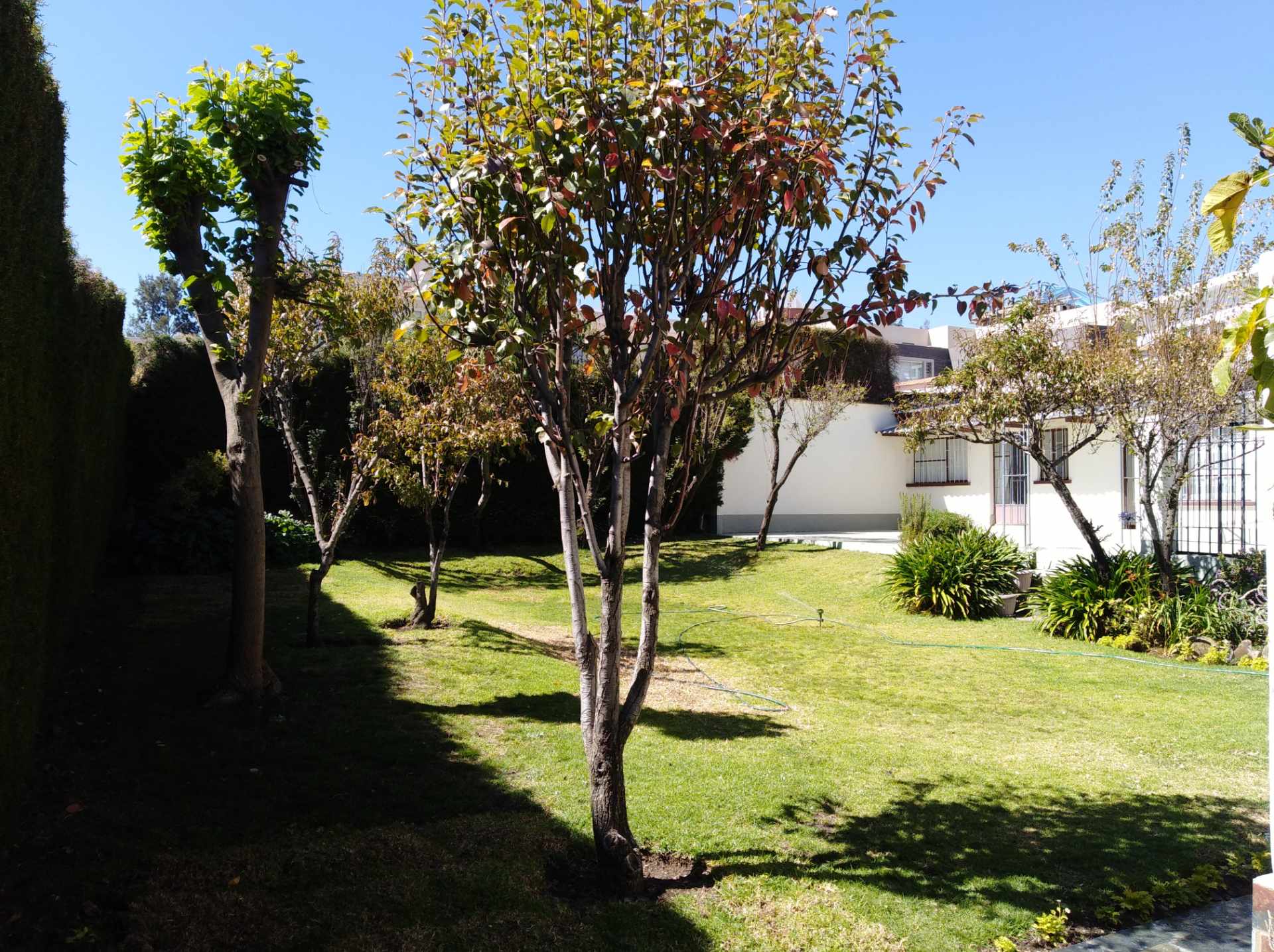 Casa en AlquilerCALACOTO calle 16 a 1/2 cuadra de la Av. Julio C. Patiño.  Foto 26