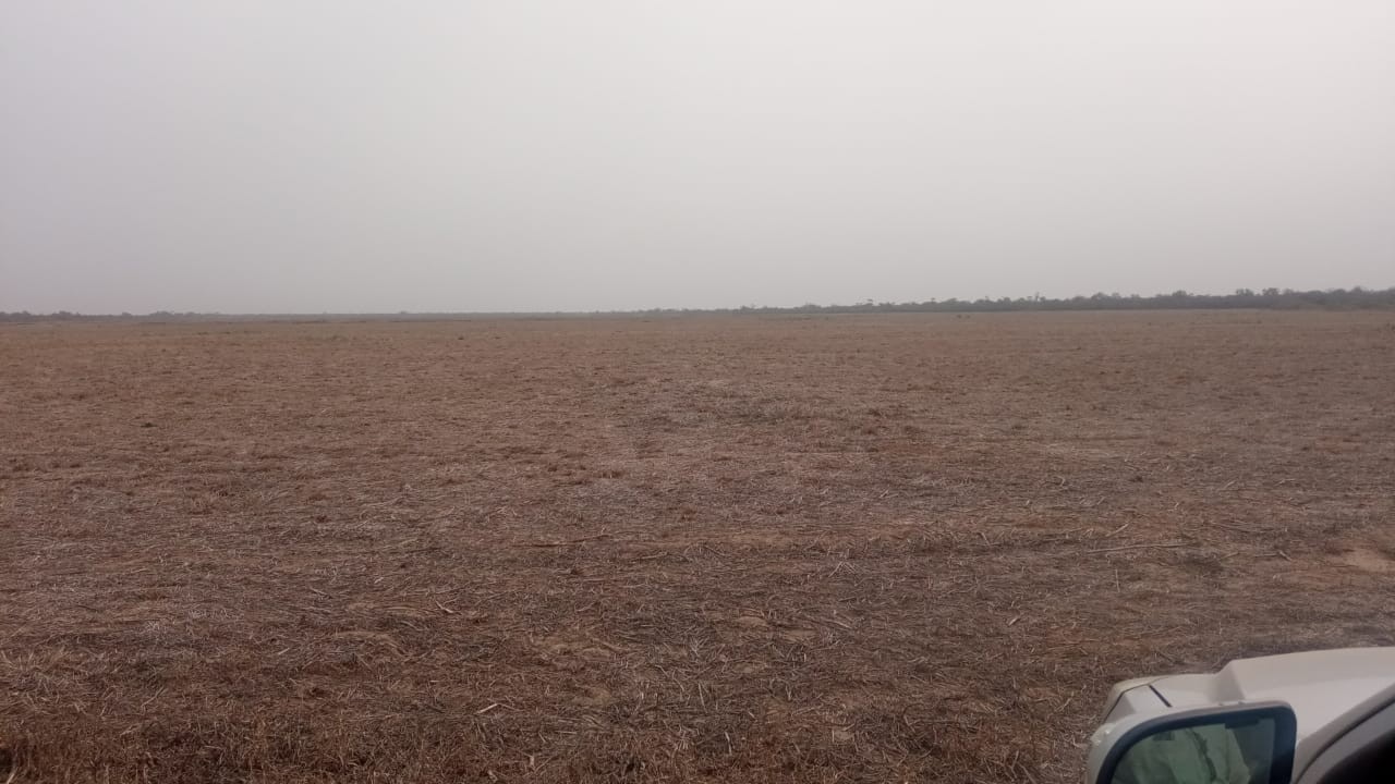 Quinta propiedad agrícola en VentaLinda propiedad  agricola  de 604ha por Pailon Sur, 70km entrando    Foto 18