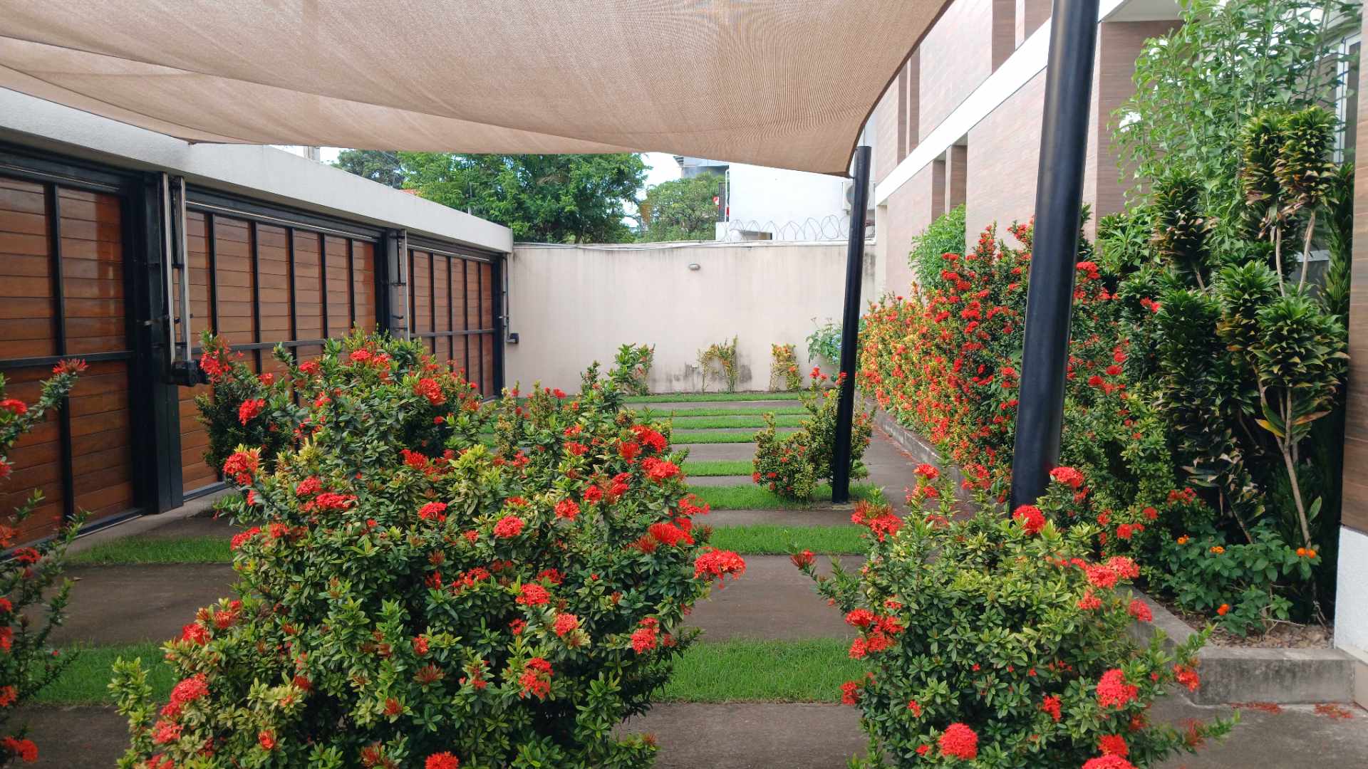 Departamento en Alquiler🔹 EN ALQUILER – PRECIOSO DEPARTAMENTO A ESTRENAR🔹 3 dormitorios 3 baños 1 parqueos Foto 3