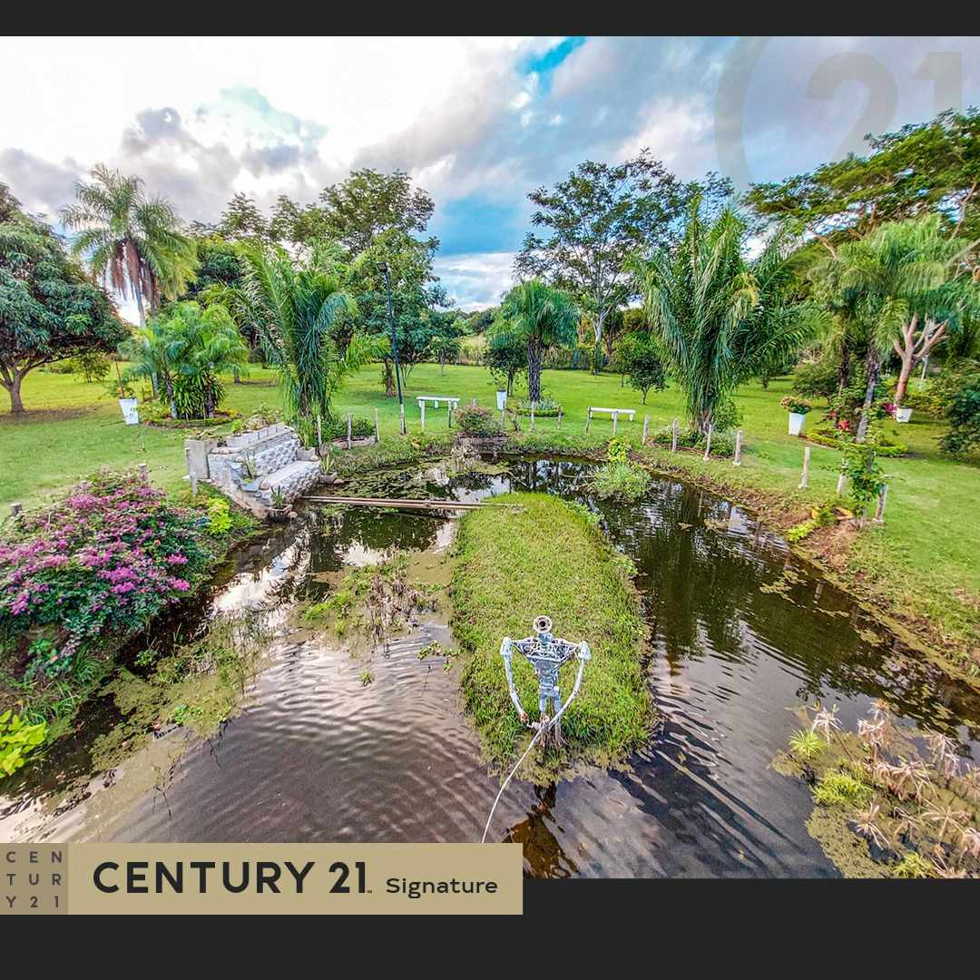 Quinta propiedad agrícola ¡OPORTUNIDAD DE INVERSIÓN! ESPECTACULAR QUINTA EN WARNES  Foto 2