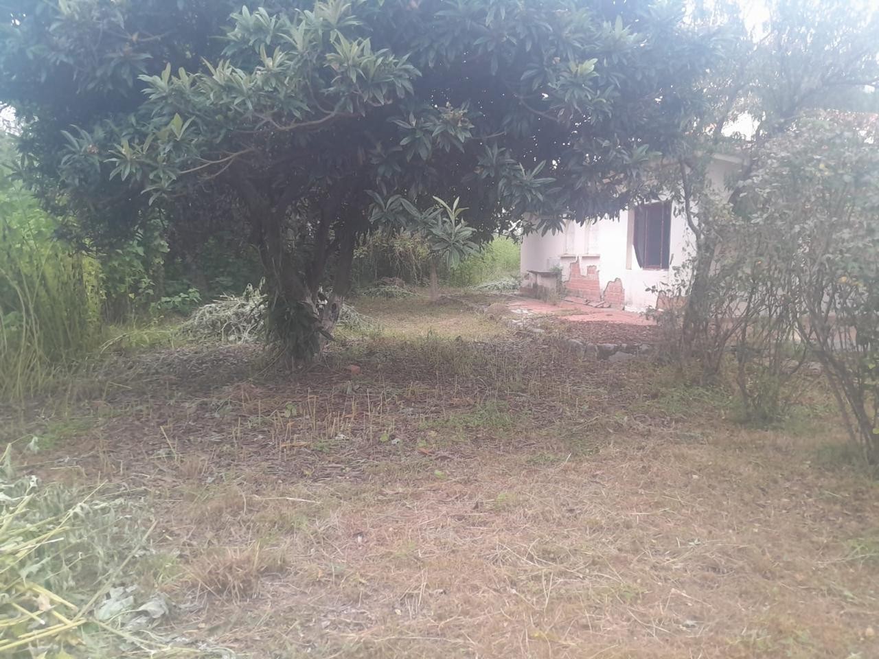 Terreno en Miraflores en Tarija    Foto 8