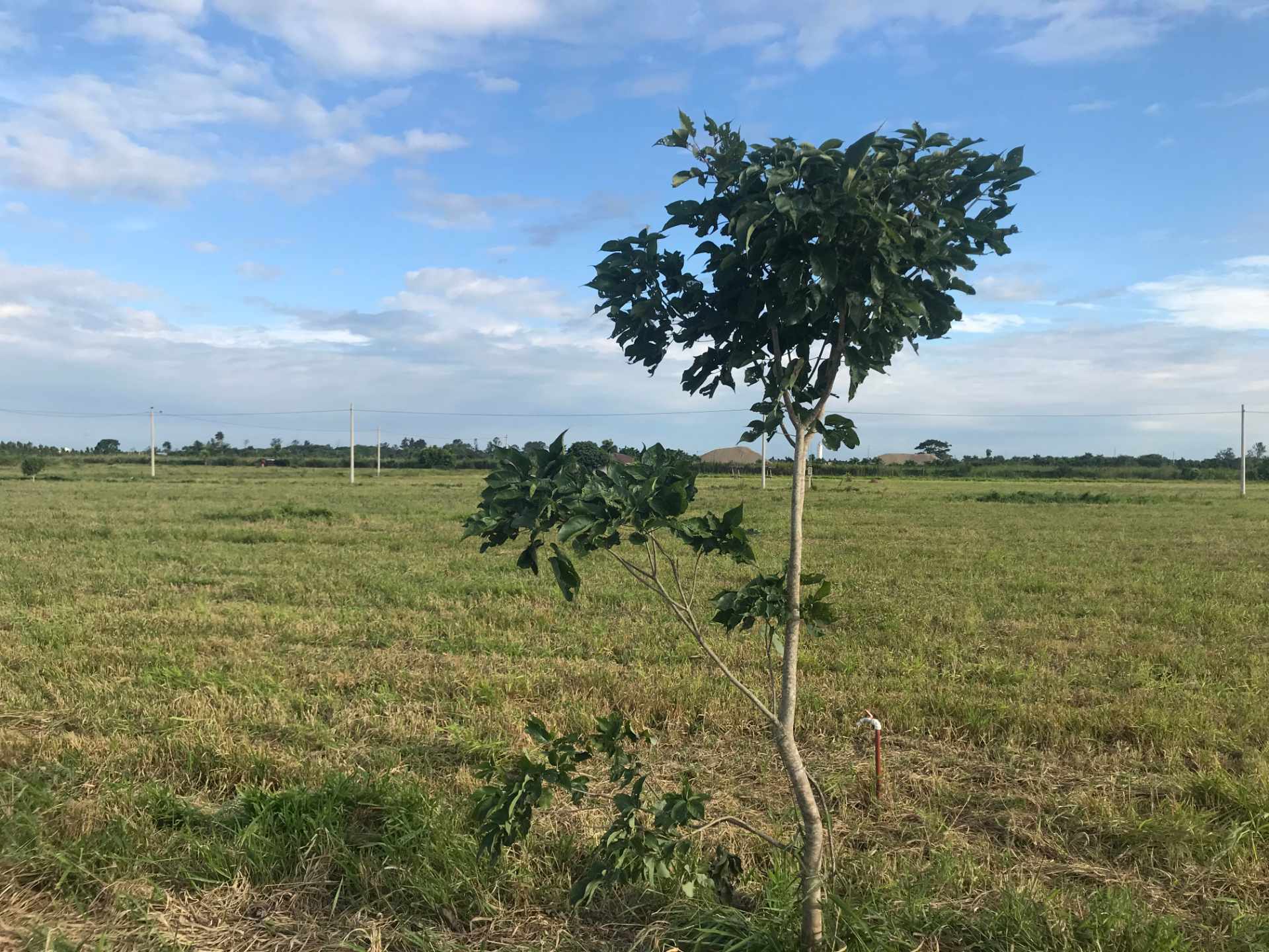 Terreno en VentaComplejo Campestre Norte, Km 23 Carretera al Norte.  Foto 17