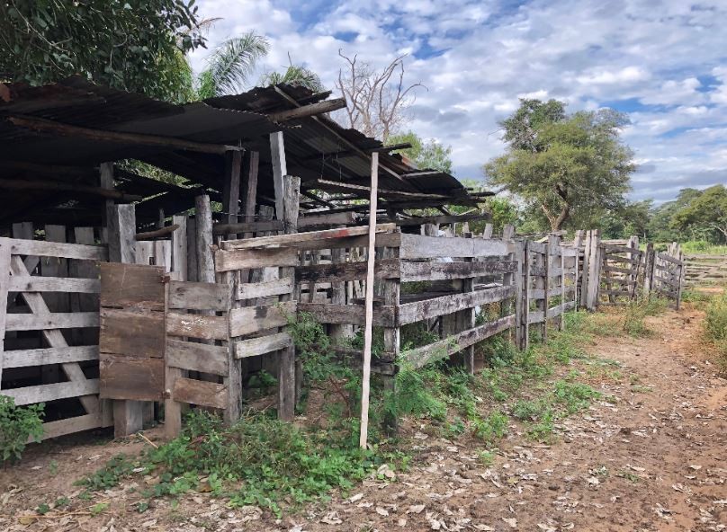 Quinta propiedad agrícola en VentaSan José de Chiquitos 723 Hectáreas (Ganadería/Agricultura) a 35 kms    Foto 14