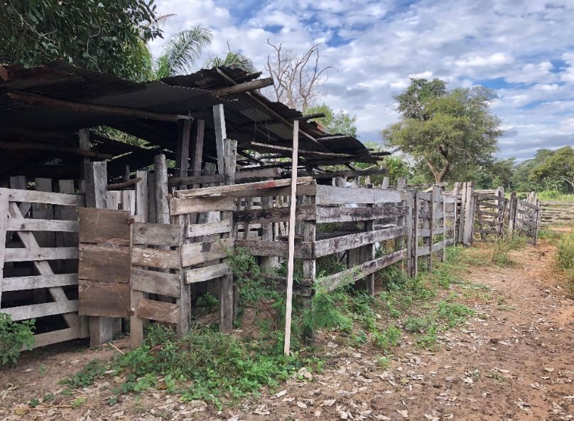 Quinta propiedad agrícola en Zona Nueva Santa Cruz en Santa Cruz de la Sierra    Foto 14