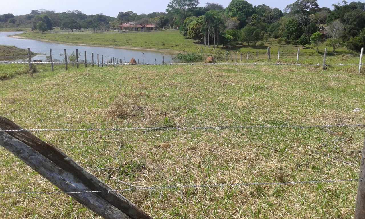 Terreno ¿TE GUSTA EL CAMPO?... ¿Q TAL UN TERRENO FRENTE A UNA LAGUNA? Foto 3