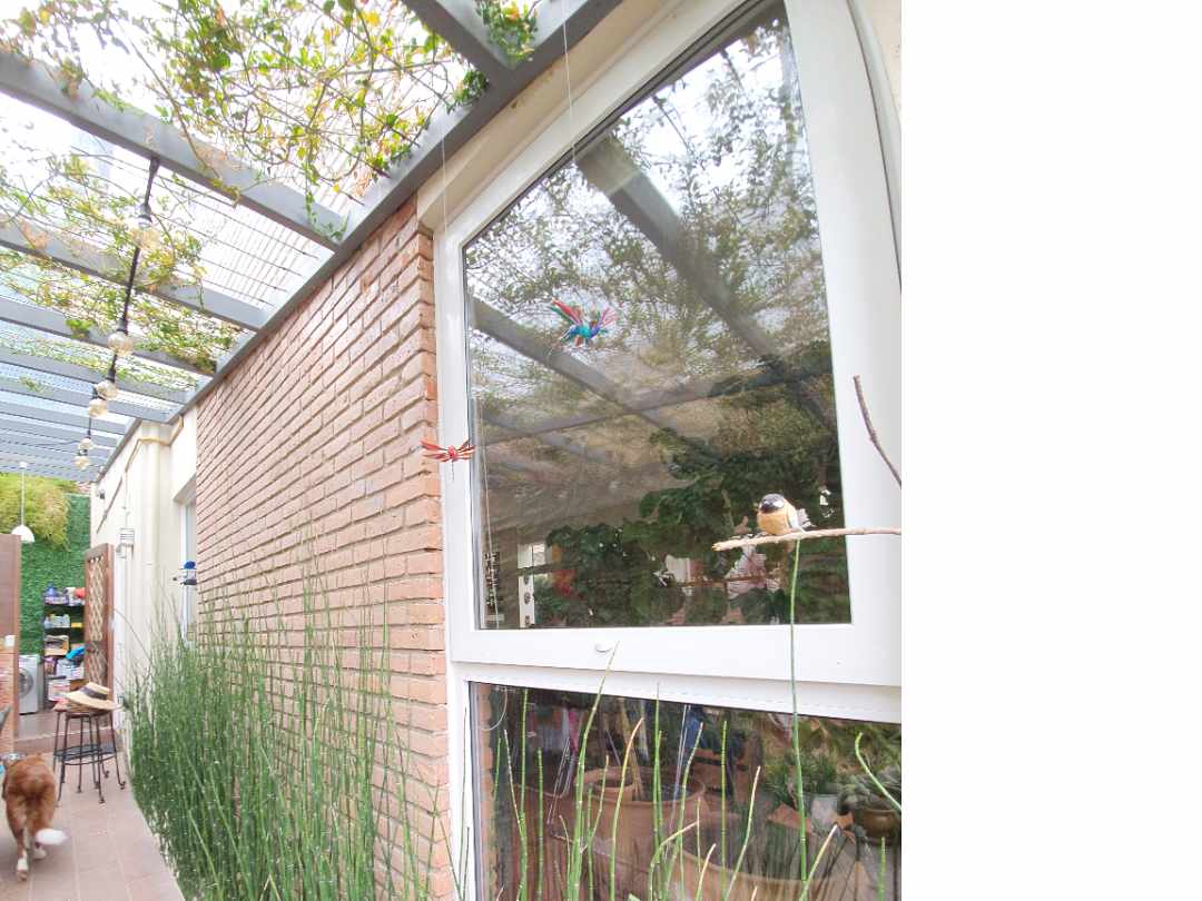 Casa en Achumani en La Paz 3 dormitorios 3 baños 2 parqueos Foto 6