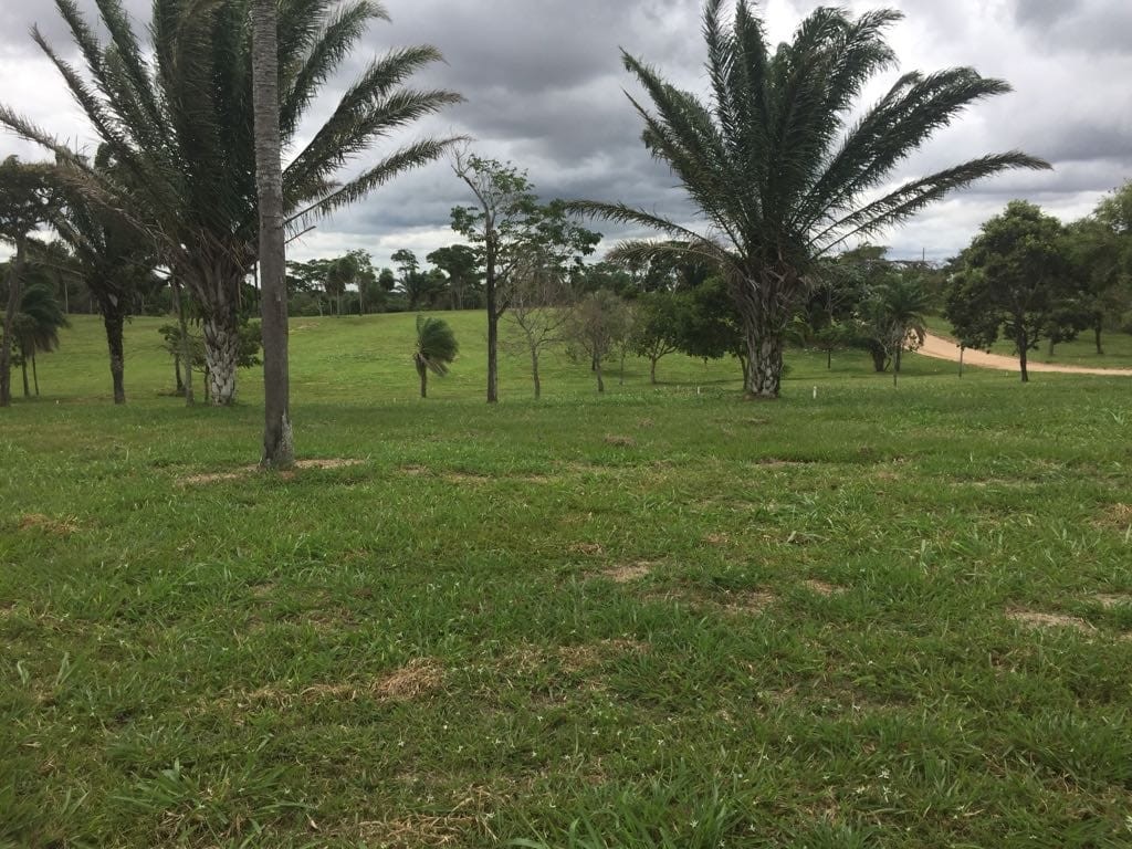Terreno en VentaTERRENO EN VENTA - URUBÓ - Complejo Campestre Urubó 3     Foto 4