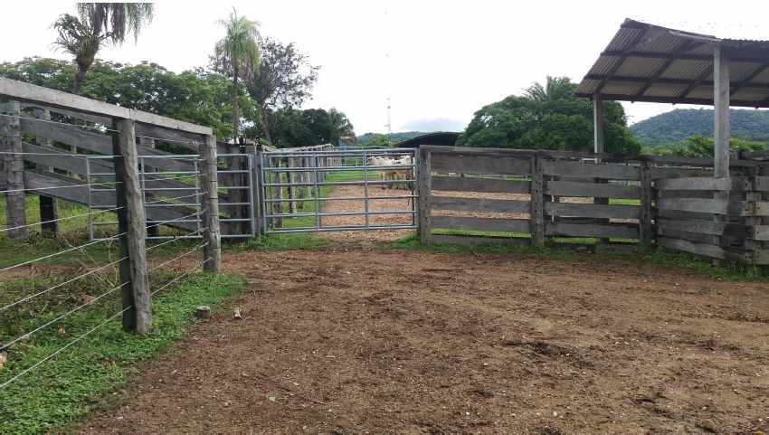 Terreno en VentaPropiedad ganadera en San Javier, 24km al oeste camino hacia El Puente    Foto 8