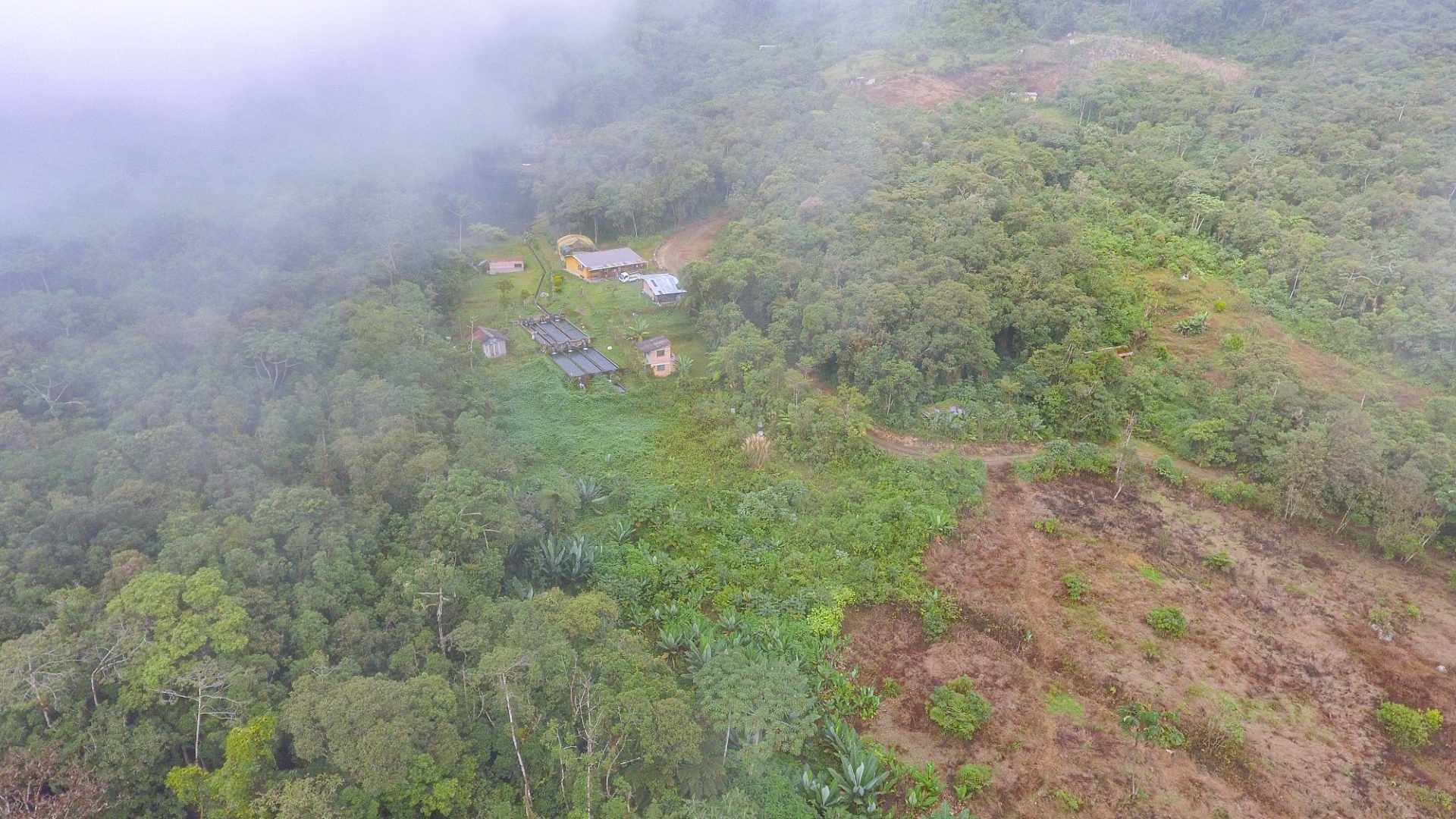 Quinta propiedad agrícola en Villa Tunari (Chapare) en Cochabamba    Foto 5