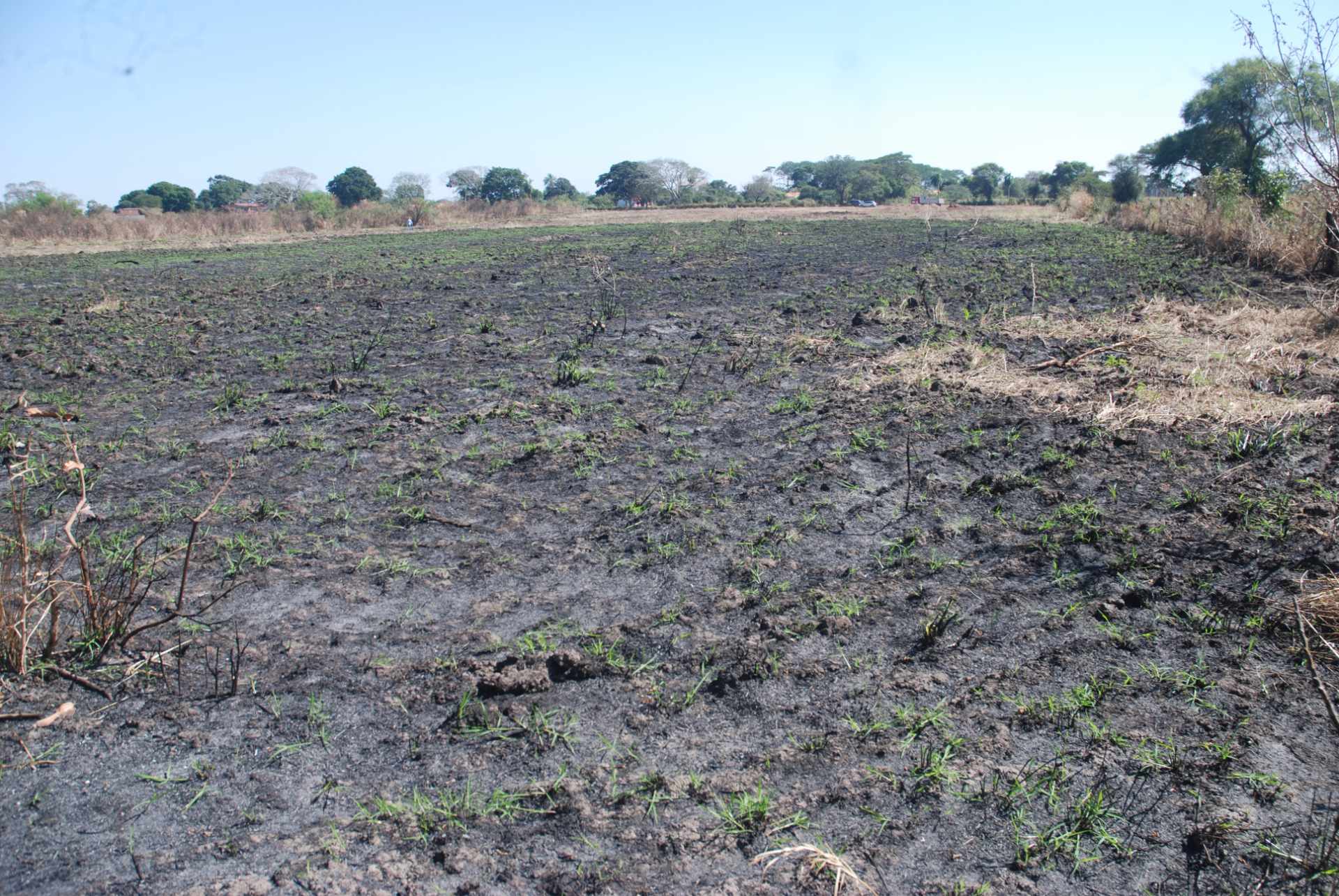 Terreno en VentaCotoca 2do anillo carretera a Pailon, cerca Cofrico Foto 4