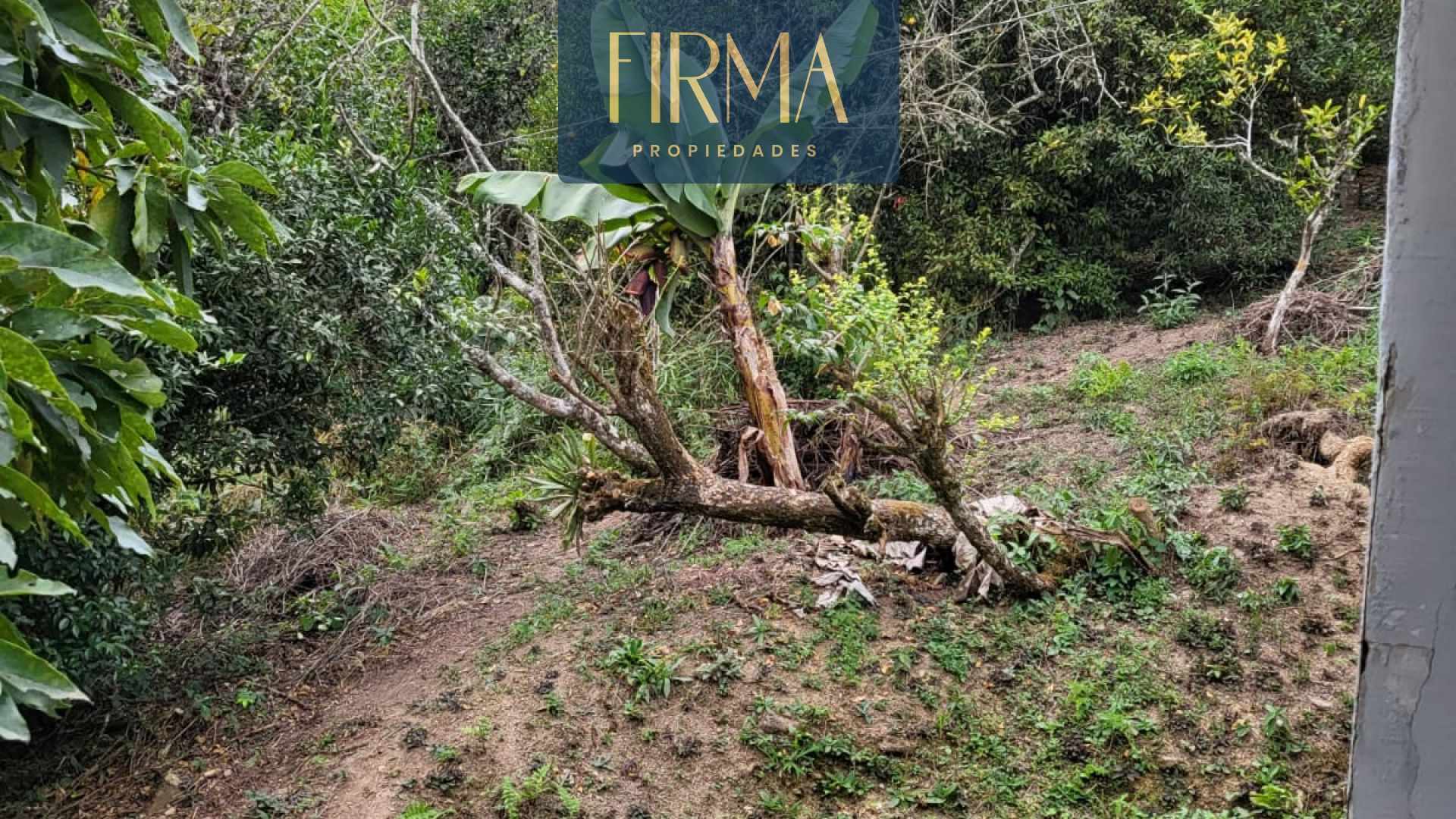 Terreno en Coroico en Coroico    Foto 14