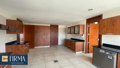 878891f5d719c8738924a4cc832448fc45ec12