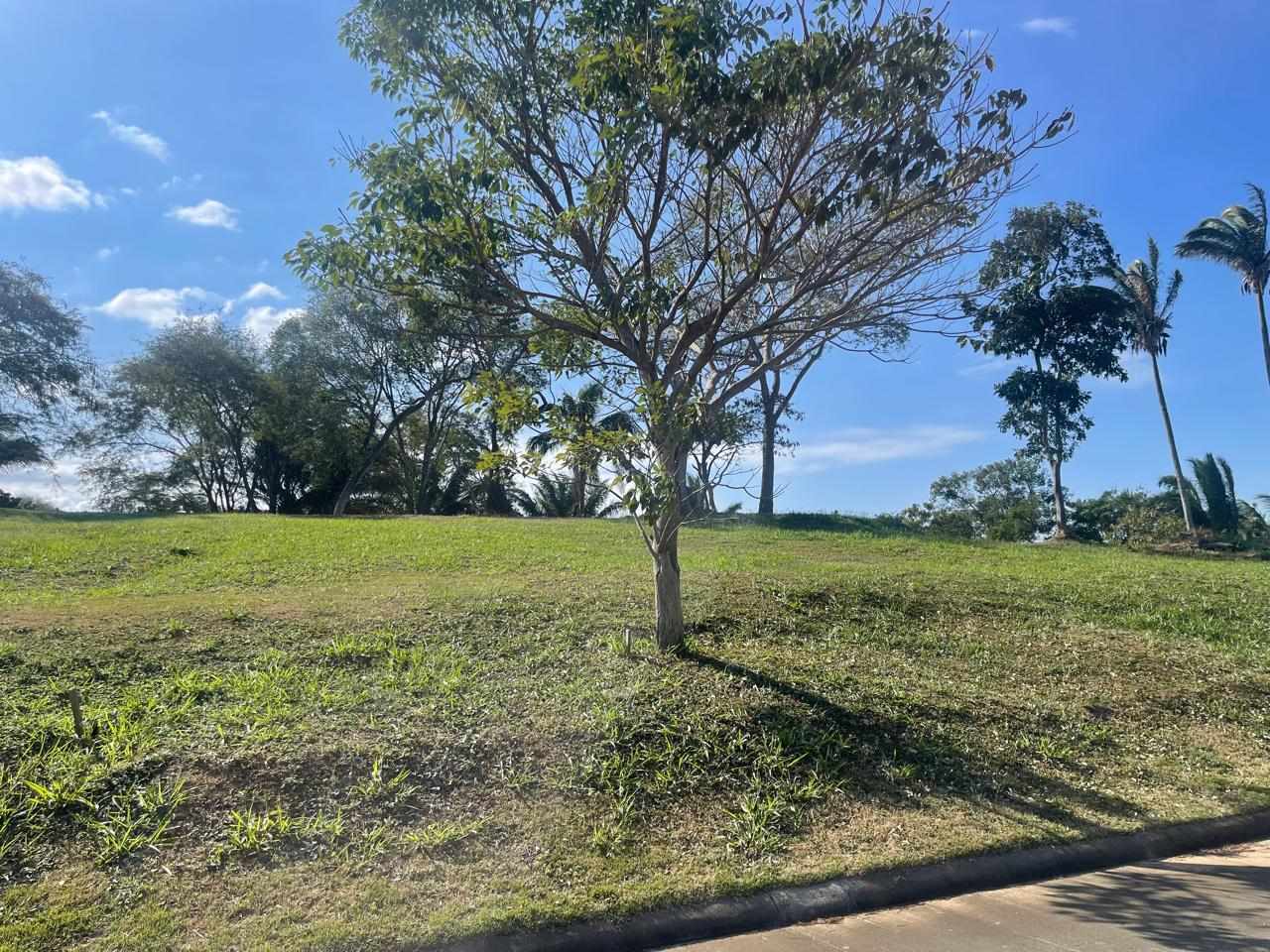 Terreno en VentaHermosos terrenos en altura en condominio Las Palmas del Urubo I    Foto 5