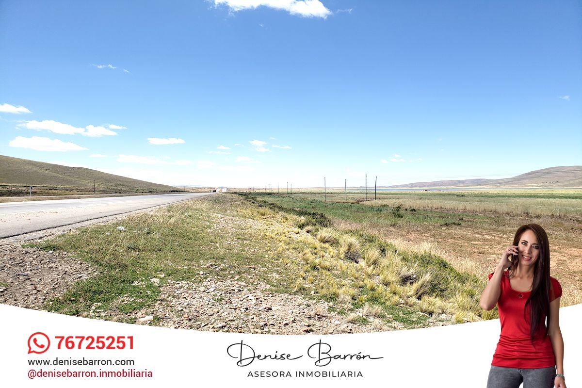 Terreno en VentaCARRETERA LA PAZ - ORURO, TERRENO EN VENTA EN VILA VILA    Foto 10