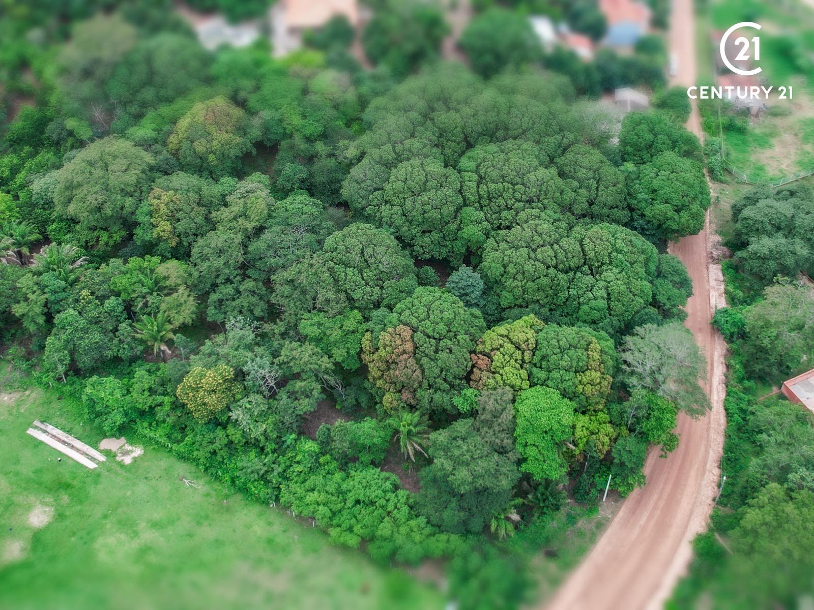 Terreno en VentaPorongo a 4 cuadras de la plaza , sobre avenida Foto 4