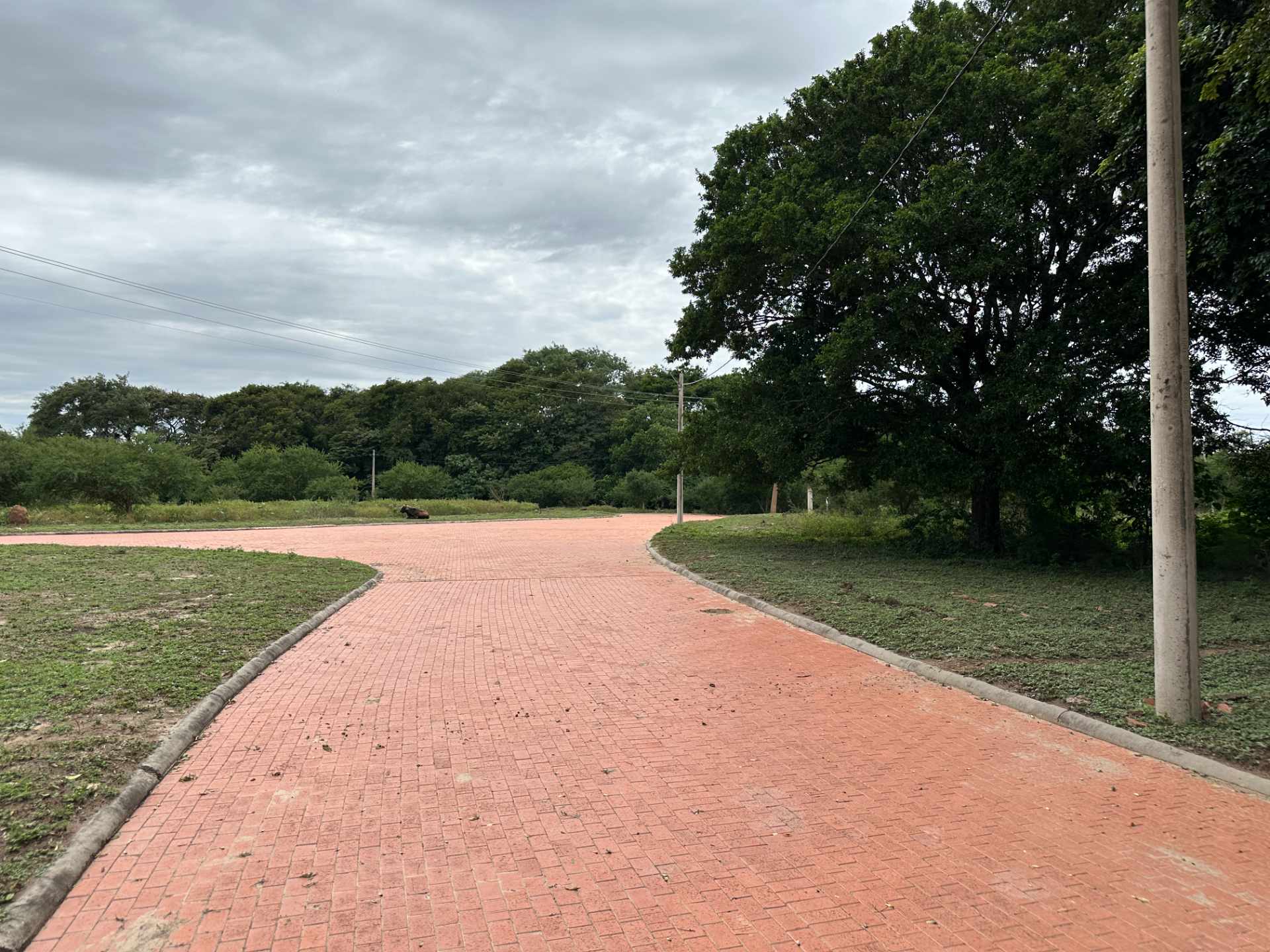 Terreno en Urubó en Santa Cruz de la Sierra    Foto 12