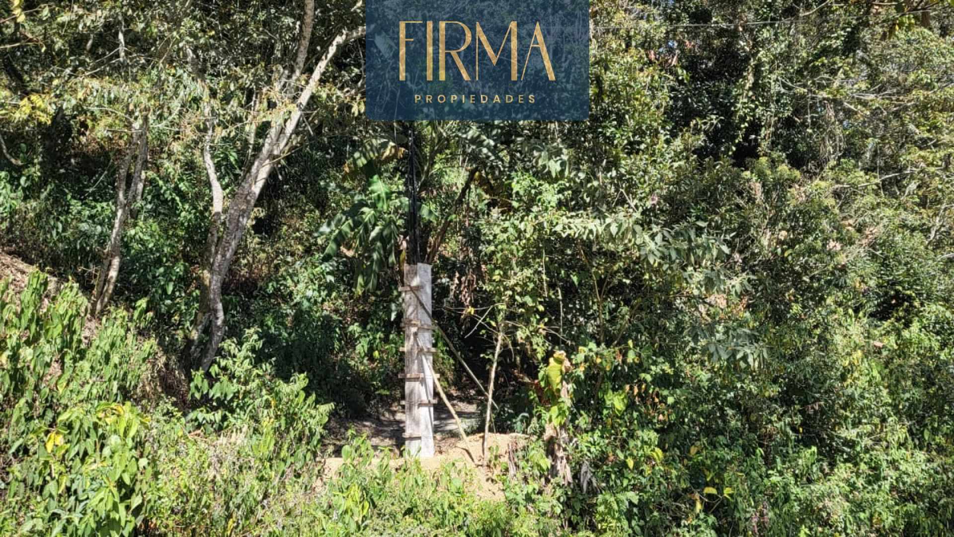 Terreno en Coroico en Coroico    Foto 11