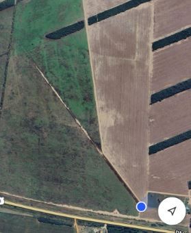 Quinta propiedad agrícola en VentaEn Venta: 2.250 Hectáreas Agricola - Ganaderas en Tuna sobre Carretera    Foto 6