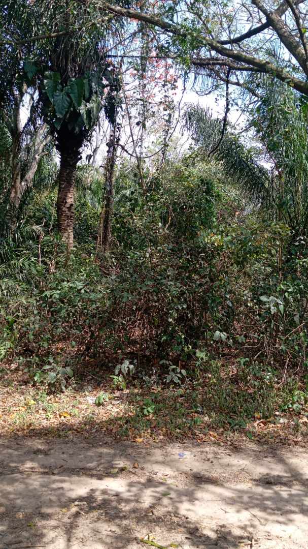 Terreno en VentaBonito terreno de 720m2 en la urbanizacion  Valle Sanchez 2    Foto 3